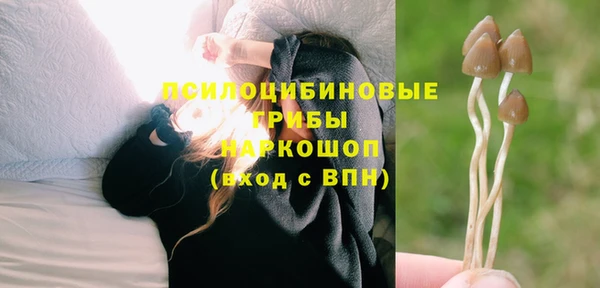 a pvp Мегион
